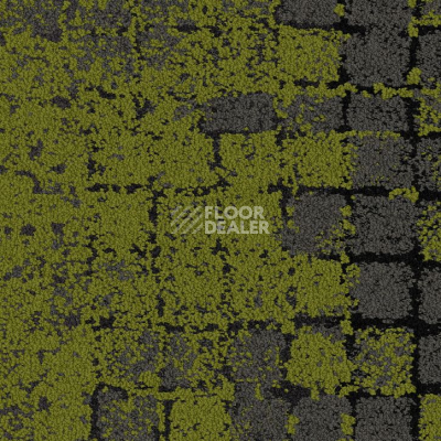 Ковровая плитка Interface Collection Human Connections Moss 8341004 Onyx moss фото 1 | FLOORDEALER